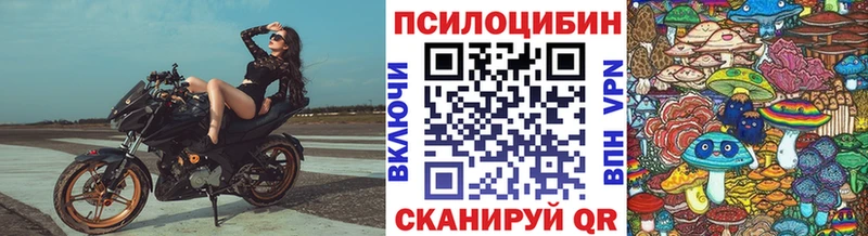 Галлюциногенные грибы Cubensis  Егорьевск 